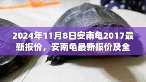 2024年视角,安南龟最新报价及全面评测