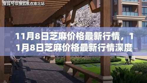 芝麻最新行情解析,多方观点碰撞与个人立场阐述