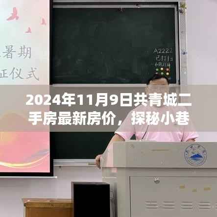 2024年共青城二手房最新房价揭秘,小巷特色小店探秘