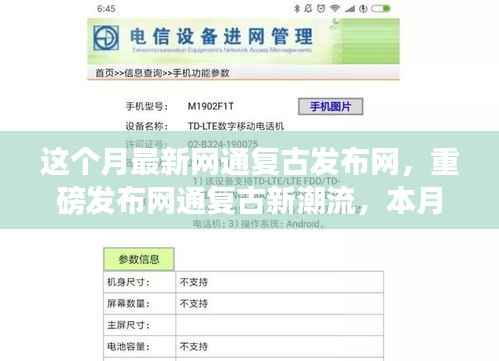 本月最新网通复古发布网,引领科技革新风潮,重磅发布新潮流高科技产品