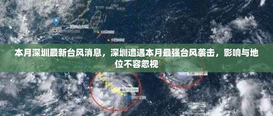 深圳遭遇本月最强台风袭击,影响与地位不容忽视