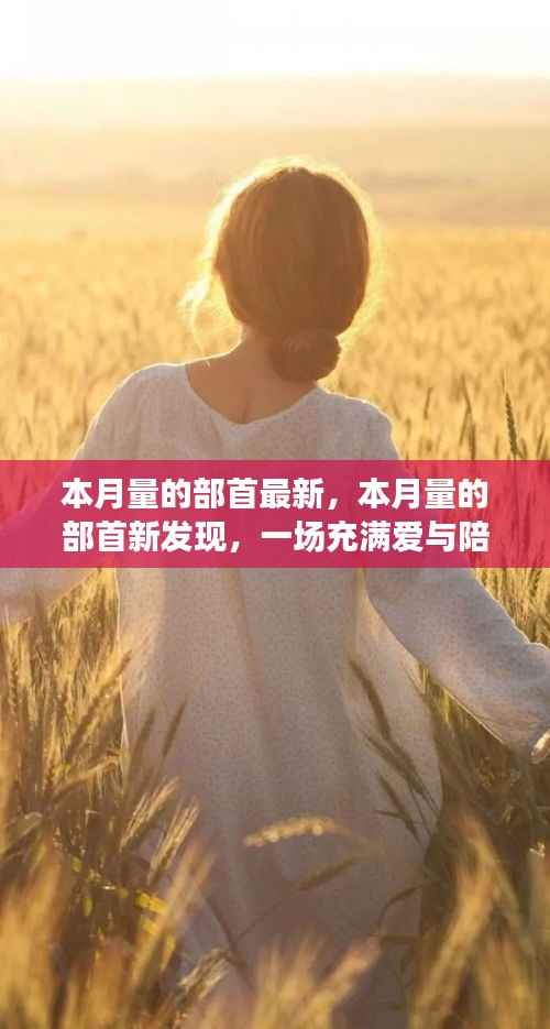 爱与陪伴的奇妙冒险之旅,最新部首发现揭秘本月量的奥秘