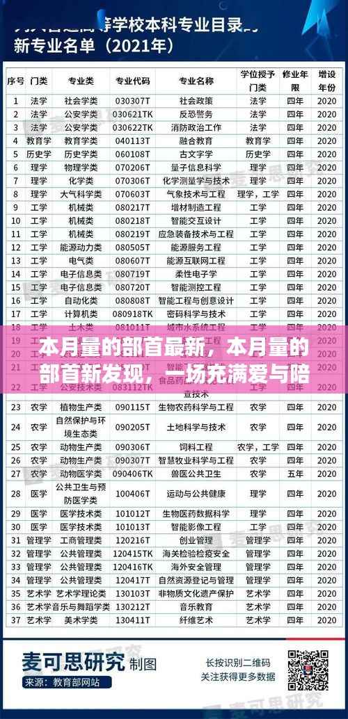 爱与陪伴的奇妙冒险之旅,最新部首发现揭秘本月量的奥秘