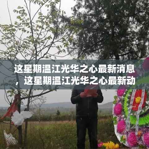 温江光华之心最新动态及消息,一站式获取信息的全面指南