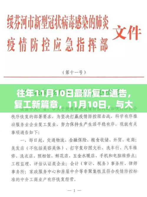 11月10日复工新篇章,共舞自然的开始之路