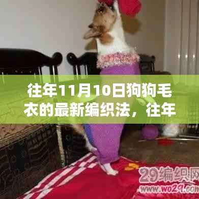 『往年11月10日狗狗毛衣最新编织风尚与技巧探索』