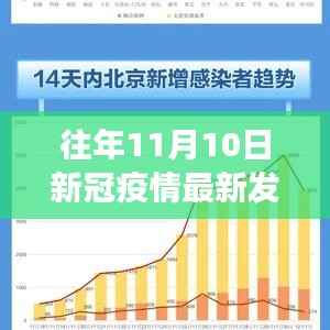 往年11月10日新冠疫情最新发展详解与动态了解指南