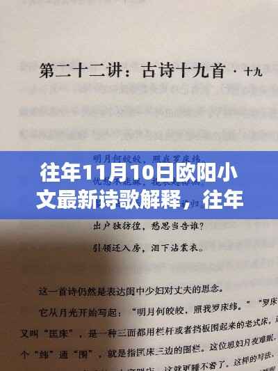 欧阳小文诗歌解析,诗意深度解读与情感探索——往年11月10日诗歌解读分享