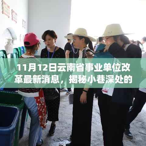 云南省事业单位改革最新消息下的特色小店探秘之旅