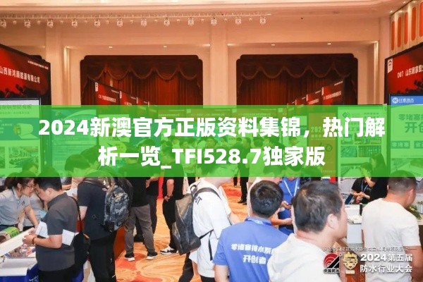 2024新澳官方正版资料集锦,热门解析一览_TFI528.7独家版