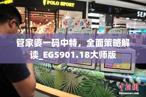 管家婆一码中特,全面策略解读_EGS901.18大师版