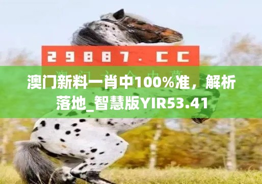 澳门新料一肖中100%准,解析落地_智慧版YIR53.41
