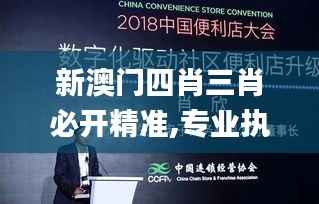 新澳门四肖三肖必开精准,专业执行问题_策展版SJK698.77