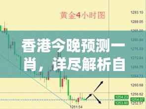 香港今晚预测一肖，详尽解析自在版QNA240.33