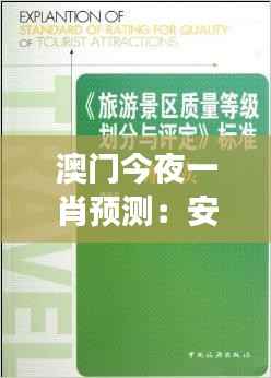 公司概况 第221页