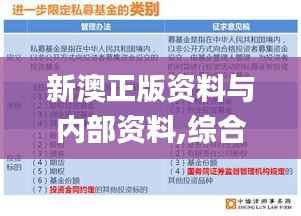 新澳正版资料与内部资料,综合判断解析解答_专家版269.38