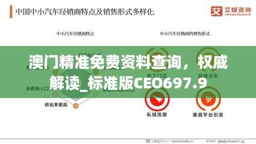 澳门精准免费资料查询,权威解读_标准版CEO697.9