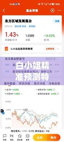 白小姐精准预测特选一期,社会工作领域:混元大罗金仙KFJ418.94