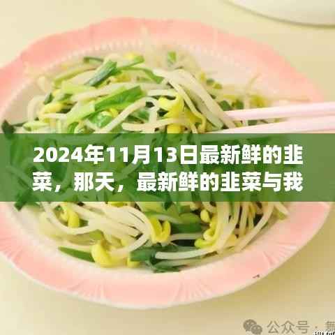 新鲜韭菜与温馨故事,2024年11月13日的邂逅