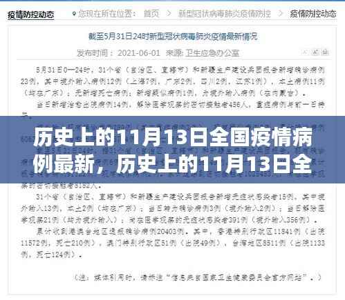 历史上的11月13日全国疫情病例最新进展与科普解读,疫情动态及影响分析