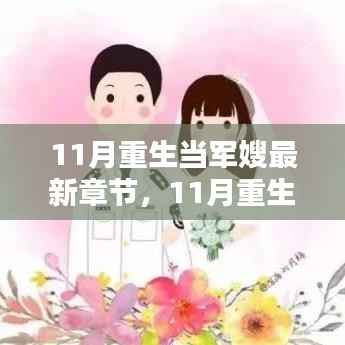 最新章节揭秘,重生军嫂的传奇故事与深度测评介绍