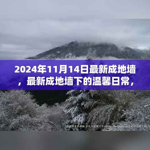最新成地墙下的温馨日常，友谊与爱共筑美好家园的2024年1月记事