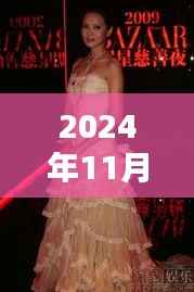 迪丽热巴闪耀时尚芭莎之夜,2024年璀璨瞬间的独家报道