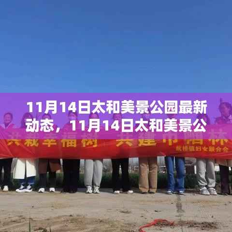 探索秋日的绿意与惊喜,太和美景公园最新动态