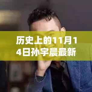 历史上的11月14日孙宇晨最新状况回顾与概览