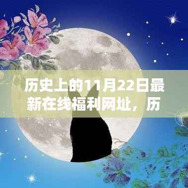 历史上的11月22日与最新在线福利网址,多方观点深度探析