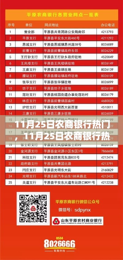 11月25日农商银行热点聚焦,金融新动态与服务升级全面解析