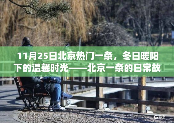 冬日暖阳下的北京一条日常故事,温馨时光回顾