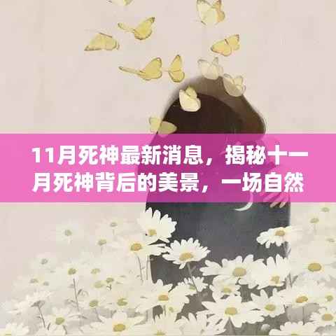 揭秘十一月死神背后的美景,自然之旅探寻内心宁静与平和