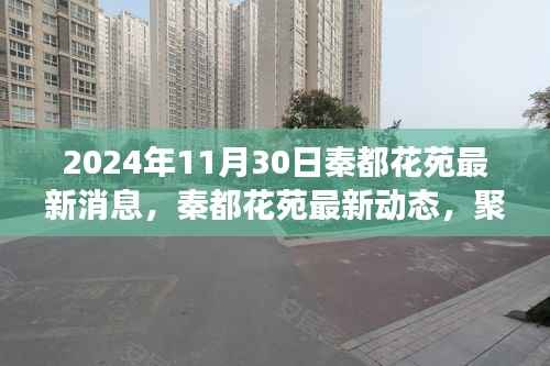 秦都花苑最新动态揭晓,2024年11月30日的最新消息与观点争议聚焦
