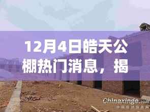 皓天公棚角落的神秘小店,味蕾与环境的独特邂逅揭秘