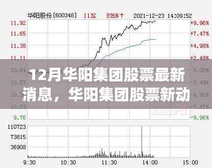 华阳集团股票最新动态,股市暖流与温馨日常故事揭秘