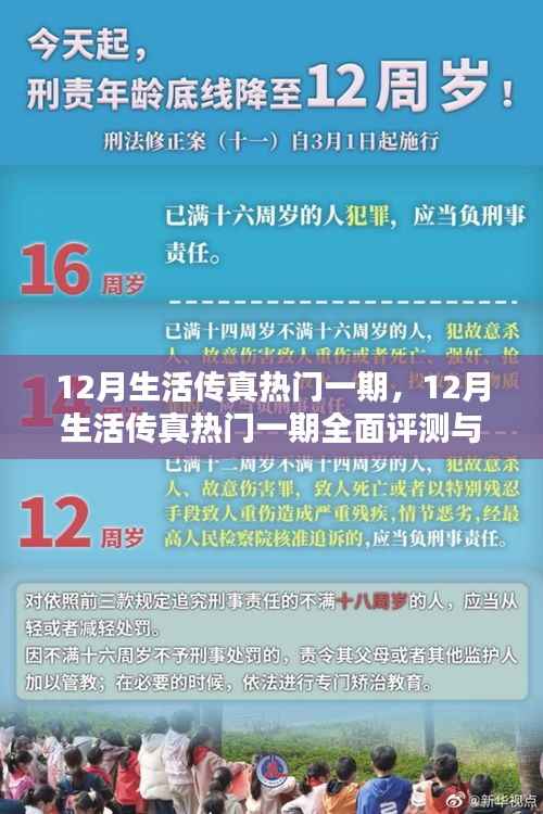 12月生活传真热门一期全面评测与介绍