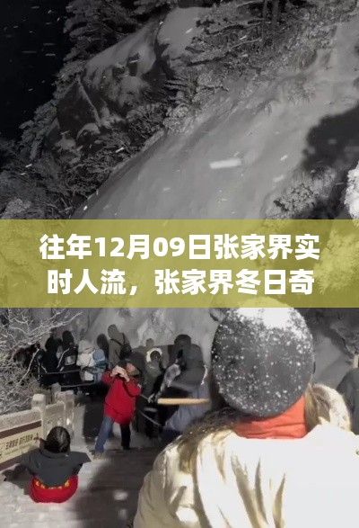 张家界冬日奇遇,温馨人潮故事在12月09日实时上演