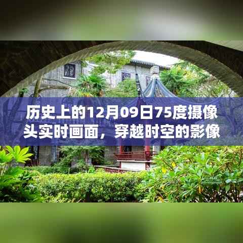 huazhizhaozhan 第6页