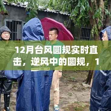 台风圆规下的逆风力量,励志故事与成就感的魔法时刻