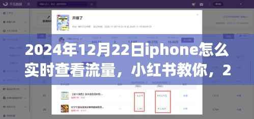 2024年12月22日iPhone实时查看流量教程,小红书教你如何轻松监控流量消耗
