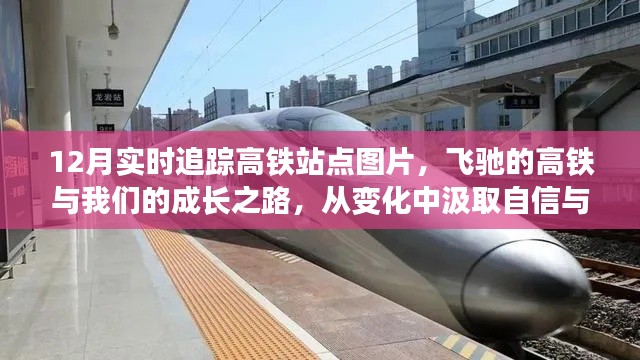 飞驰的高铁,成长的轨迹与自信的源泉