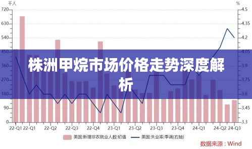 株洲甲烷市场价格走势深度解析