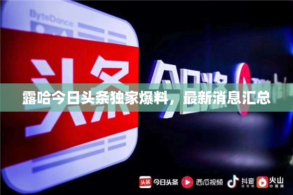 露哈今日头条独家爆料,最新消息汇总