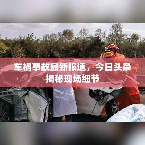 车祸事故最新报道，今日头条揭秘现场细节