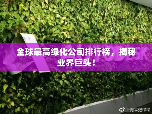 全球最高绿化公司排行榜,揭秘业界巨头!