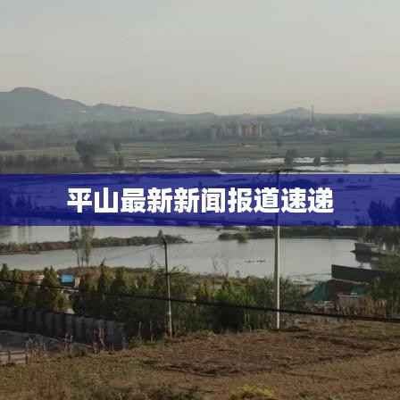 平山最新新闻报道速递