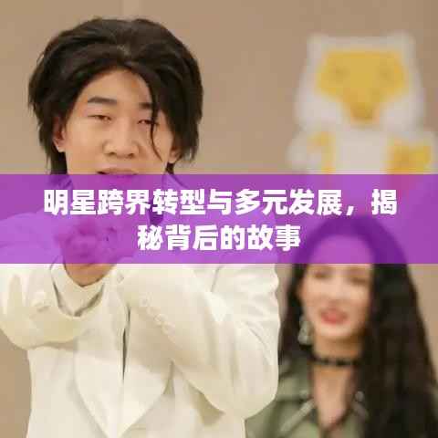 明星跨界转型与多元发展,揭秘背后的故事