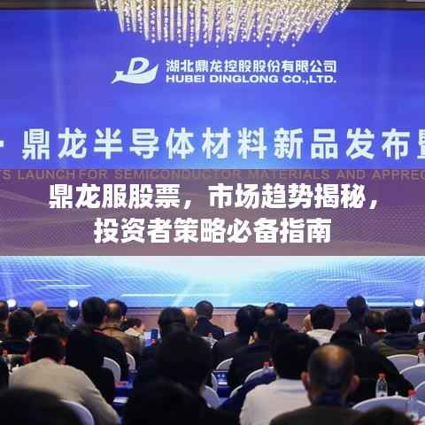 鼎龙服股票,市场趋势揭秘,投资者策略必备指南