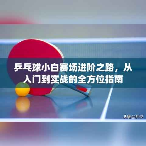 乒乓球小白赛场进阶之路,从入门到实战的全方位指南